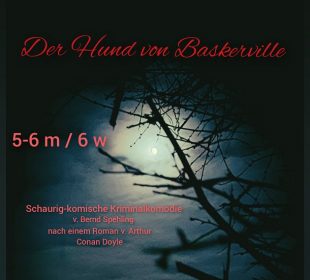 Der Hund von Baskerville (Mind. 12 Rollen)