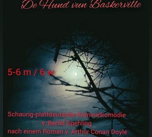 De Hund vun Baskerville ..... (12 Rollen)