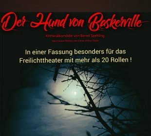 Der Hund von Baskerville ... (21 Rollen)