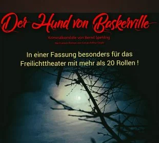 Der Hund von Baskerville ... (21 Rollen)